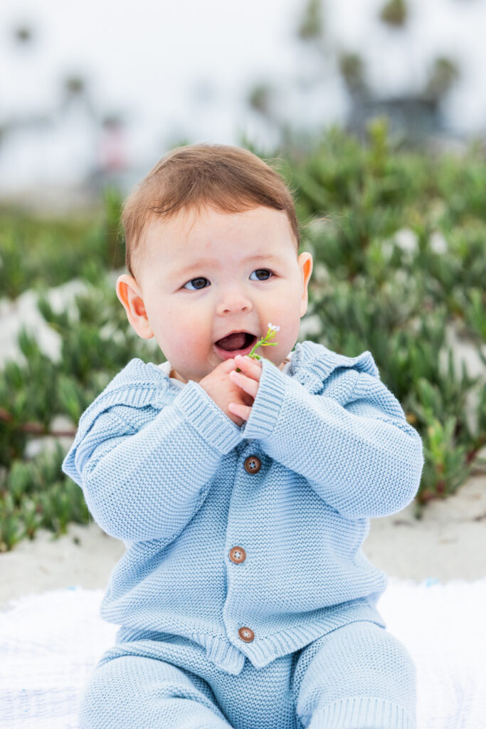 Beach family photos Coronado San Diego Coronado beach portraits capturing the early years of a family with a new baby and dog